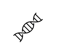 Plant-Based Stem Cells